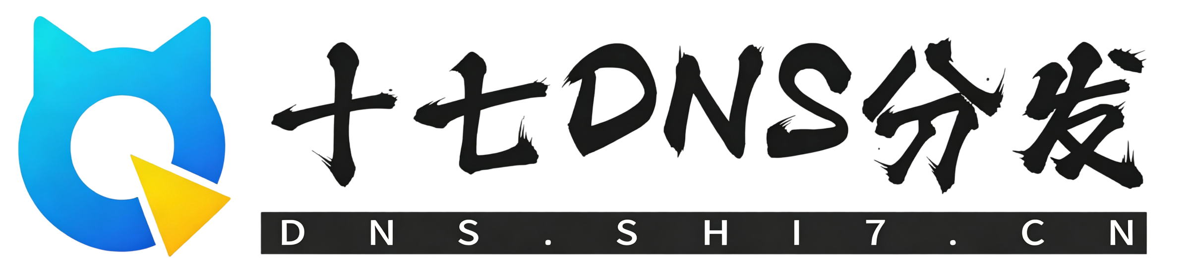 十七DNS分发